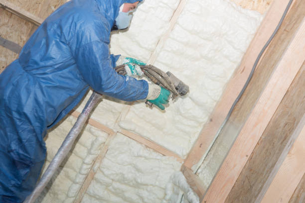 Best Garage Insulation  in Bridgeview, IL